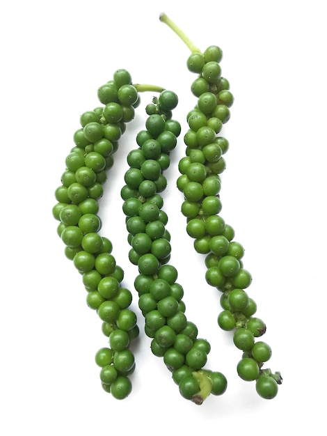 Fresh green peppercorns with isolated on a white background