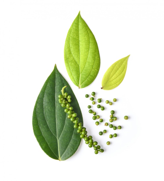 Fresh green peppercorns with leaf isolated on a white space. top view