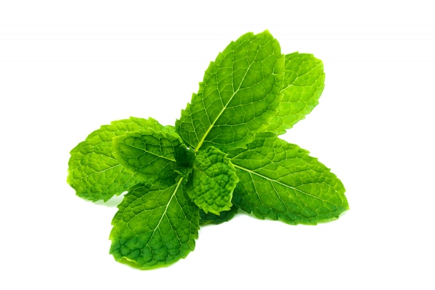 Photo fresh and green peppermint, spearmint leaves isolated on white