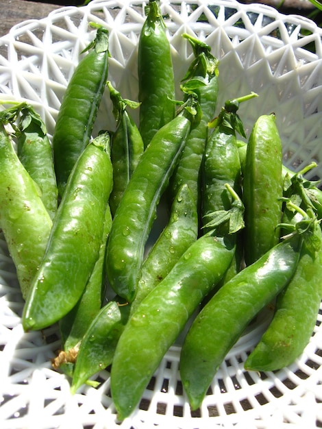 Fresh green pods of peas lay in a plate