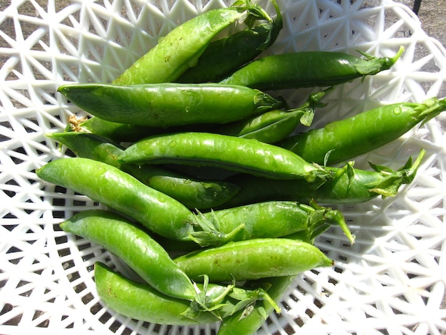 Fresh green pods of peas lay in a plate