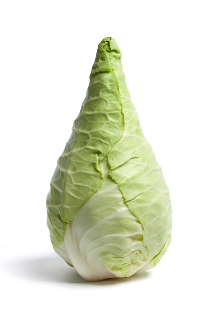 Fresh green pointed Cabbage also known as the Hispi or Sweetheart cabbage isolated on white background