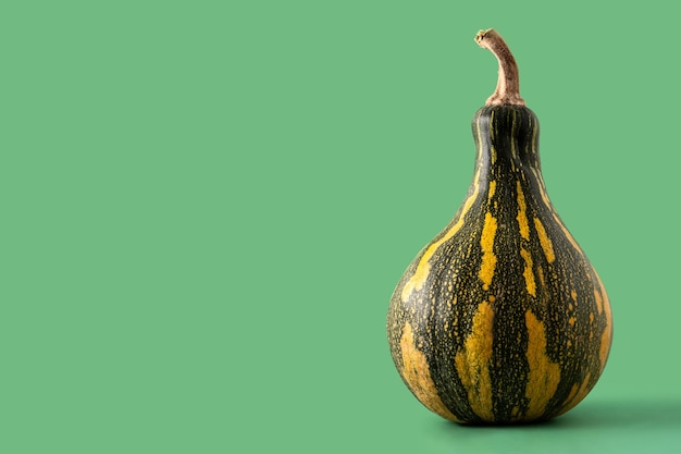 Fresh green pumpkin on green background