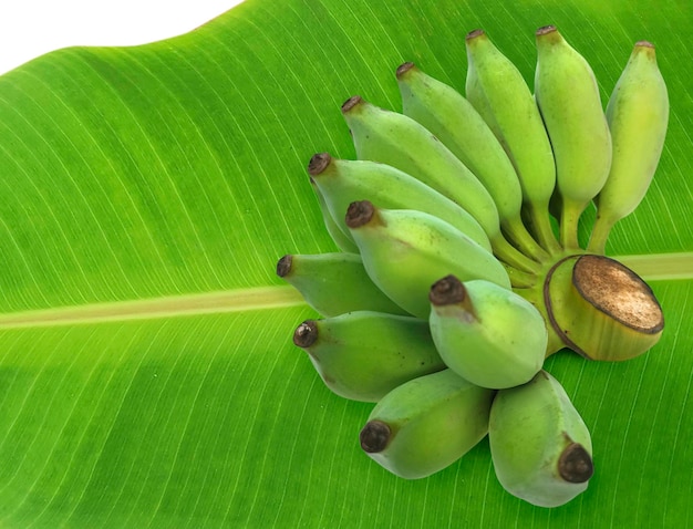 Fresh green raw banana on fresh banana leaves