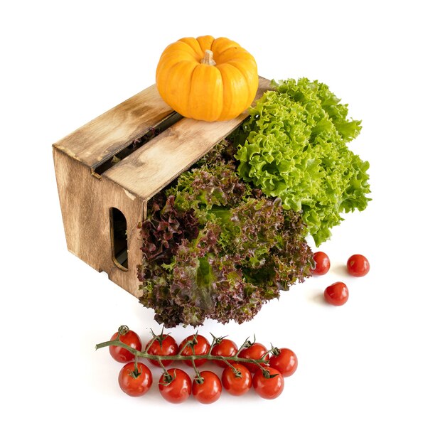 Fresh green and red salad leaves in a wooden box small pumpkin and branch of cherry tomatoes