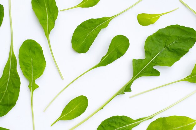 Foto insalata di rucola fresca verde su sfondo bianco.