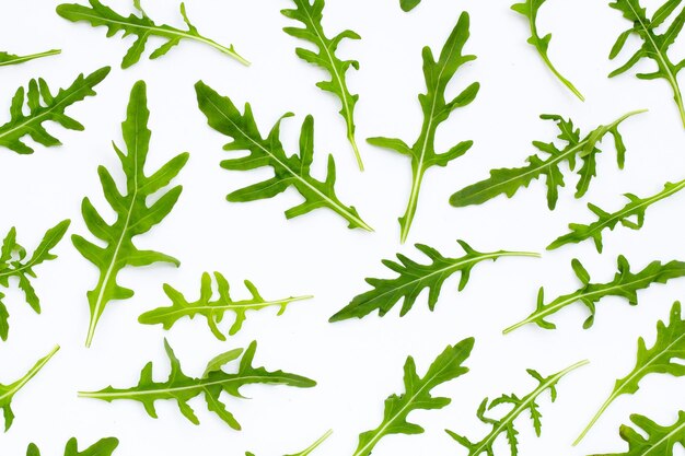 Fresh green rocket salad on white background