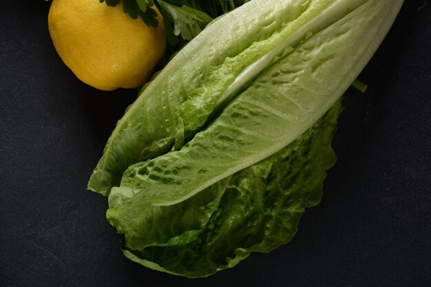 Fresh green Romaine Lettuce Leaves of Lactuca sativa