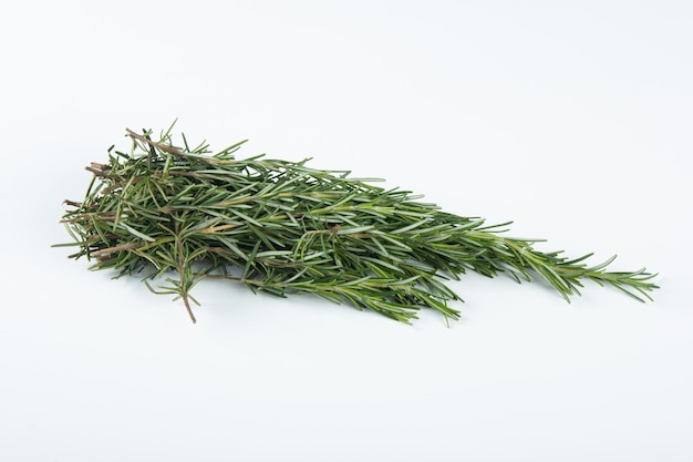 Fresh green rosemary leaves on white background