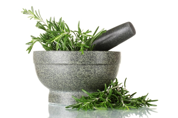 Photo fresh green rosemary in mortar isolated on white