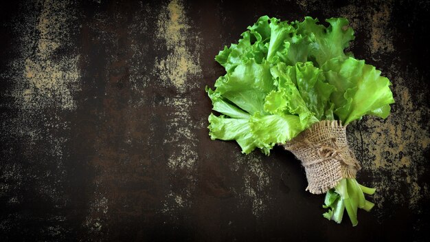 Fresh green salad leaves