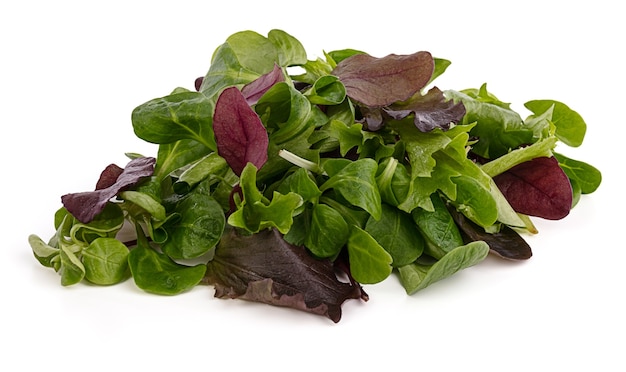 Fresh green salad on a white background