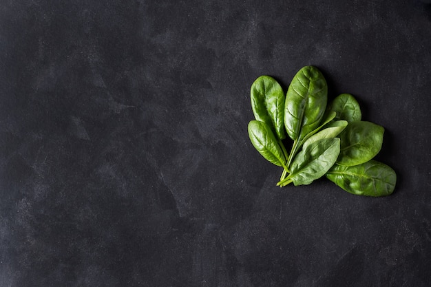 Fresh green spinach on black background