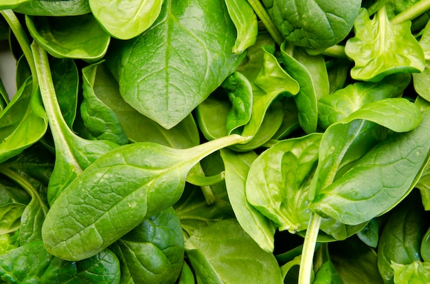 Fresh green spinach leaves