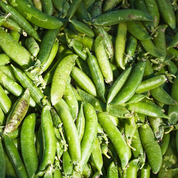Фото Свежий зеленый сахарный горох на фермерском рынке