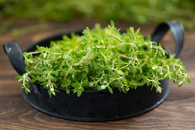 Fresh green thyme on an iron tray