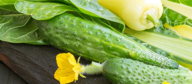 Verdure verdi fresche ingredienti per insalata.