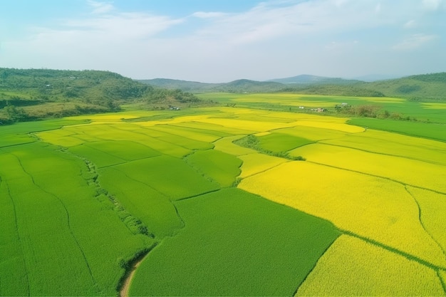 Fresh green and yellow rice fields Aerial view Ai generative