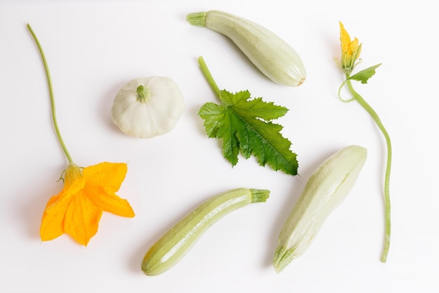 Fresh green zucchini with flower and leaves on white background The concept of healthy eating baby food veganism vegetarianism raw food Overhead top view flat lay Copy space