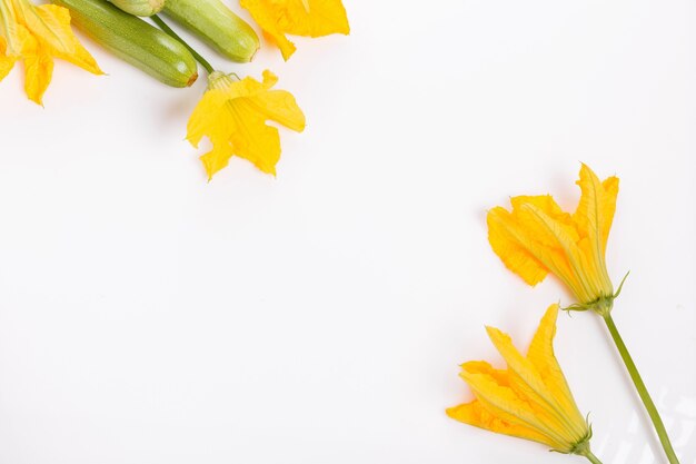 Zucchine verdi fresche con fiori e foglie su sfondo bianco. il concetto di alimentazione sana, alimenti per l'infanzia, veganismo, vegetarianismo, cibo crudo. vista dall'alto, piatta. copia spazio.