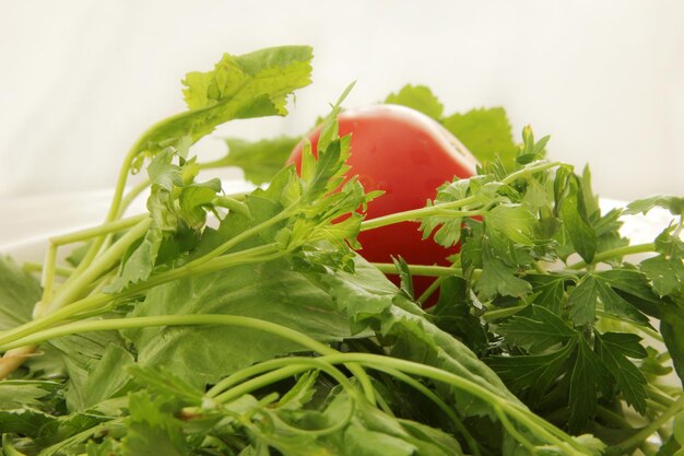 Fresh greens and tomato