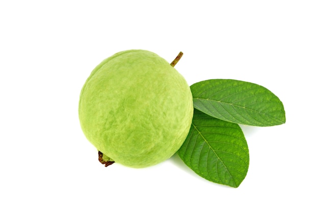 Fresh Guava fruit with leaf isolated on white