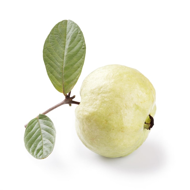 Foto guava fresca su sfondo bianco