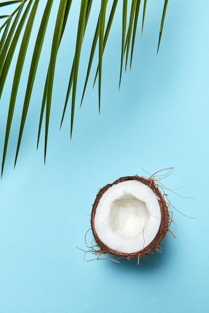 Fresh half of organic coconut and a palm leaf