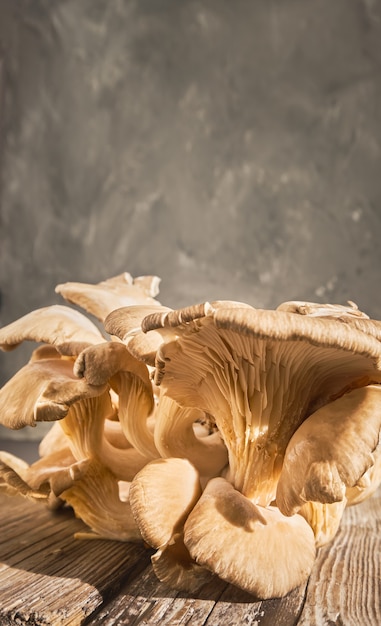 Fresh harvest of oyster mushrooms on an old wooden table