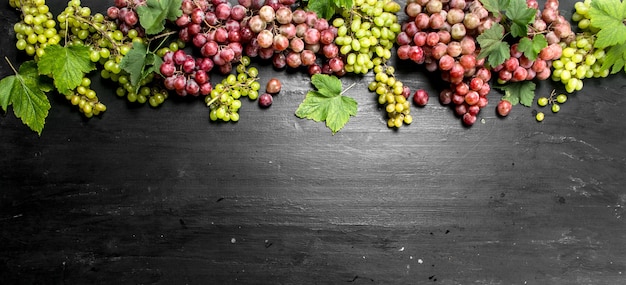 Fresh harvest of red and green grapes. On the black chalkboard.