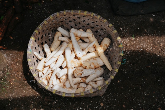 Fresh harvested cassava that has just been cleaned from its skin from top angle