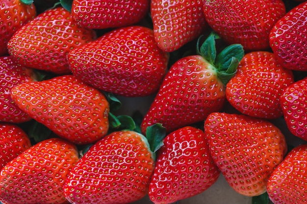 Fresh harvested strawberries