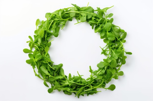 Fresh Healthy Greenery in Round Circle Frame on White Background AI Generated