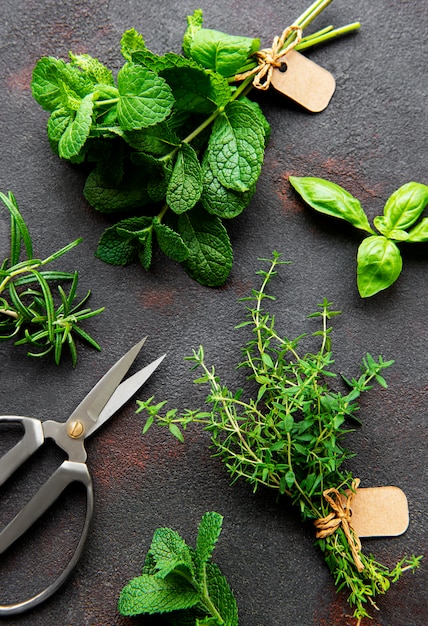 Fresh herbs on black stone background