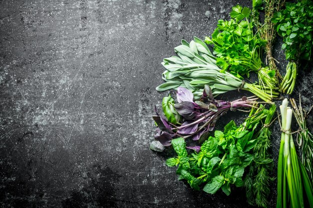 Photo fresh herbs cut in the home garden