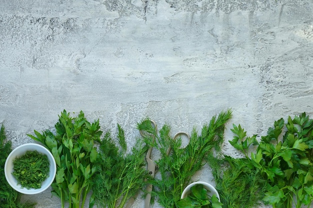 Photo fresh herbs on a gray background, parsley, garlic, onions and dill, copy space