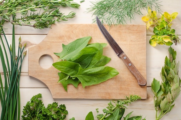 fresh herbs, spices on cutting board on wooden background. harvest