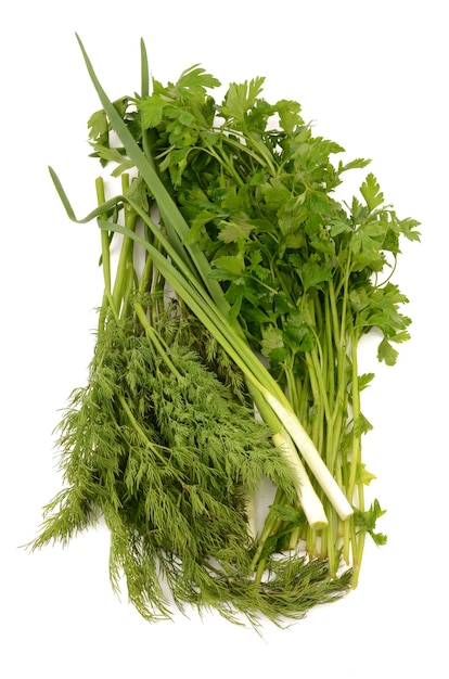 Fresh herbs on a white background