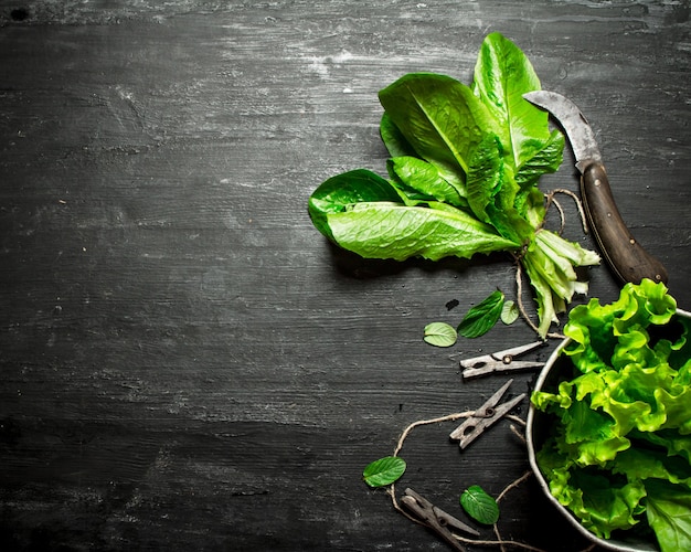 Fresh herbs with an old knife. On the black wooden table.