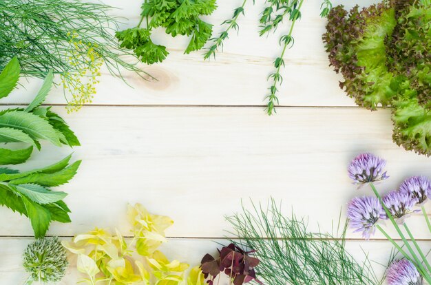 Fresh herbs on wooden background.