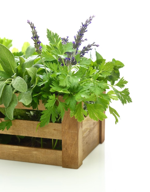 Fresh herbs in wooden box