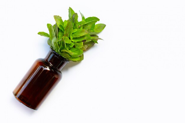 Fresh holy basil leaves in a medicine bottle