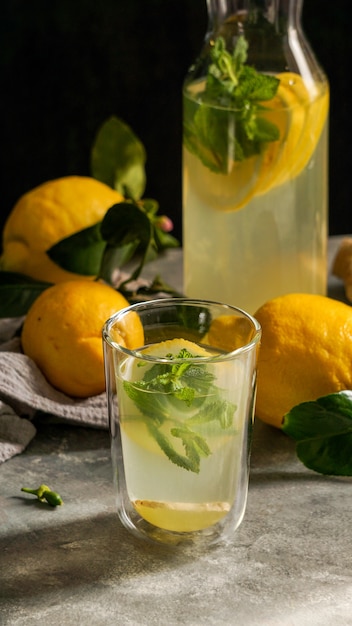 Limonata fresca fatta in casa al limone con menta