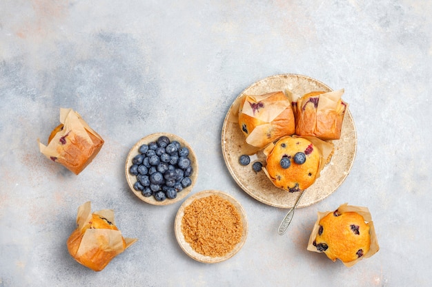 Fresh homemade delicious blueberry muffins.