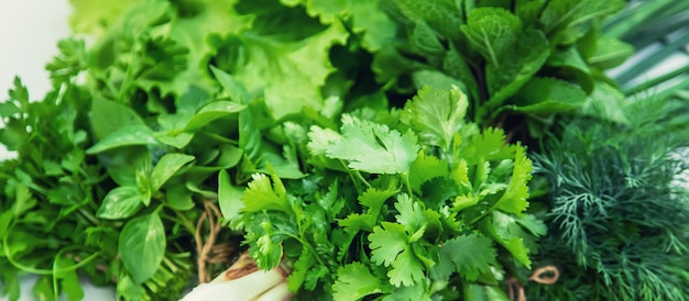 Verdure fresche fatte in casa dal giardino. isolato