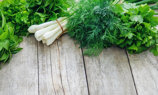 Fresh homemade greens from the garden Selective focus