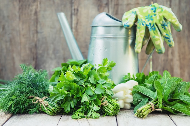 Fresh homemade greens from the garden. 