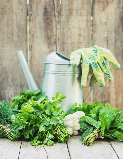 Fresh homemade greens from the garden. 