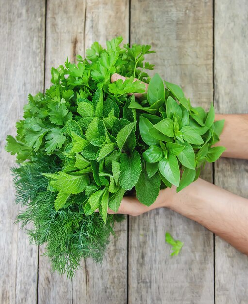 Fresh homemade greens from the garden. 