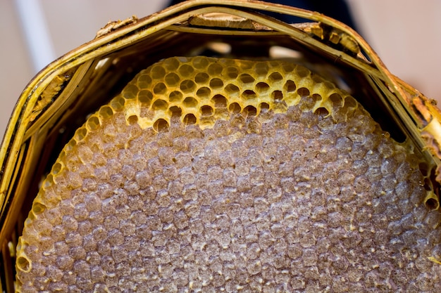 Fresh honey in the sealed comb frame